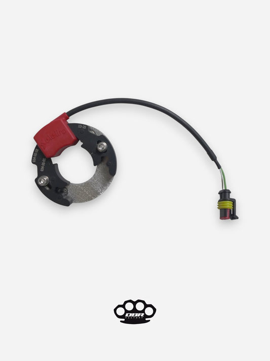 ستاتور سيليترا - KTM Sx 50 Minicross مع لوحة تكييف الكارتير