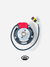 حمّل الصورة في عارض المعرض، Accensione a Rotore Interno Selettra x DBR - AM6, Derbi 50cc/100cc - DBR Factory