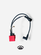 حمّل الصورة في عارض المعرض، Accensione a Rotore Interno Selettra x DBR - AM6, Derbi 50cc/100cc - DBR Factory