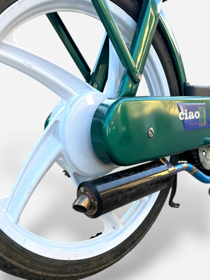 Muffler DBR Wyvern Titanium Multicolor