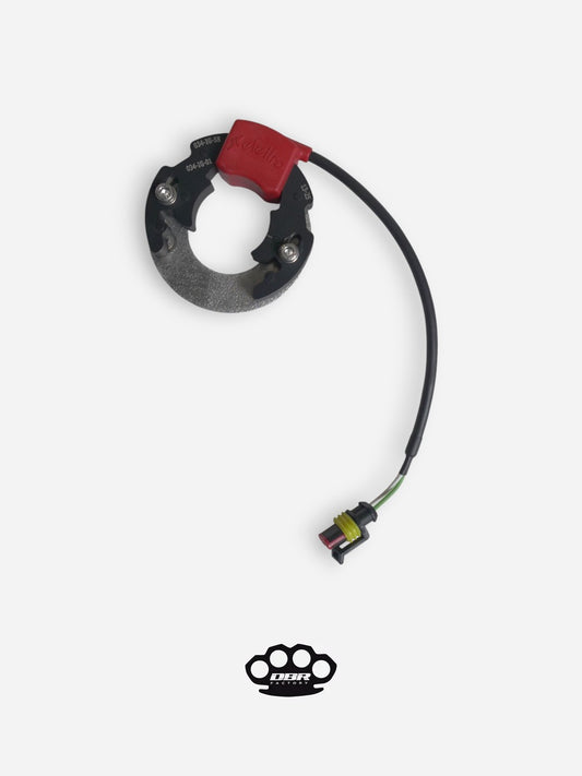 Stator Selettra - KTM Sx 50 Minicross with Crankcase Adapter Plate