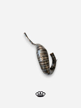 Upload the image to the Gallery viewer, DBR Exhaust 125cc Husqvarna SM-WRE from 1999 to 2013
