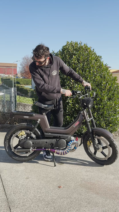 Muffler DBR Wyvern Titanium Multicolor